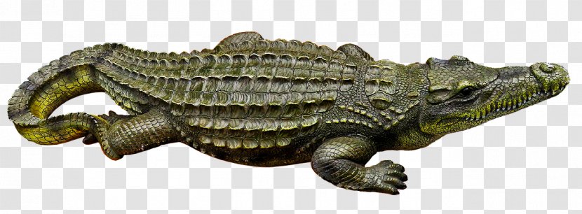 Nile Crocodile Animal Gharial Crocodiles - Figure - Tail Toy Transparent PNG