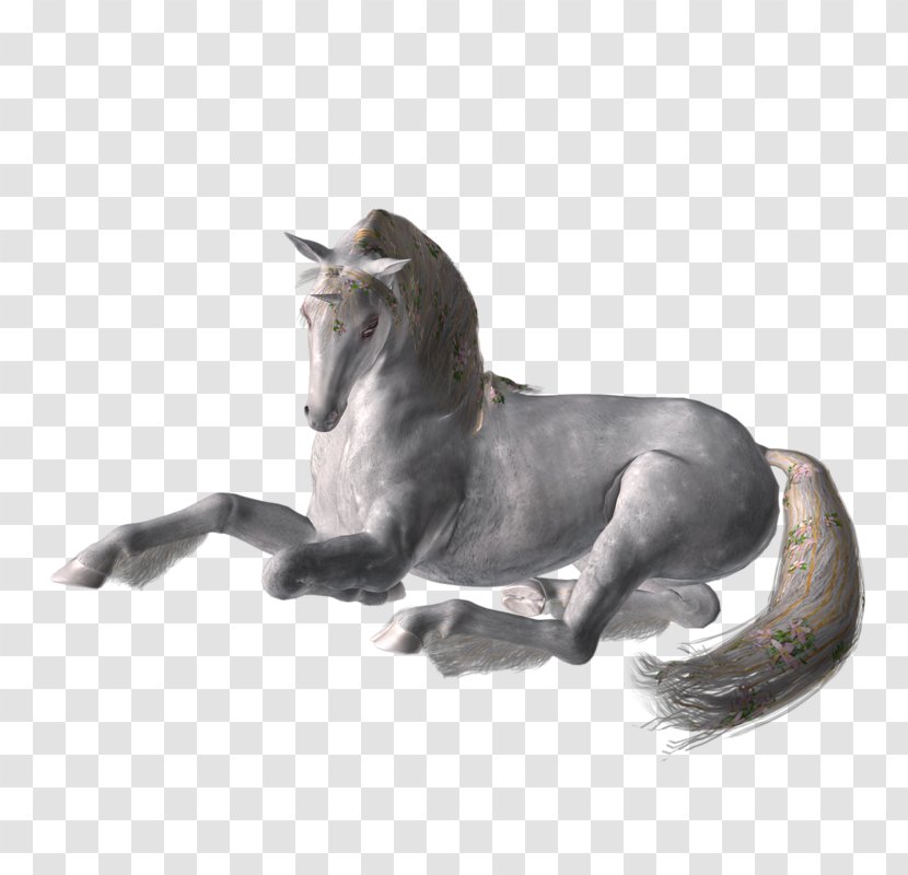 Mustang Stallion Legendary Creature Naturism Horse Transparent PNG