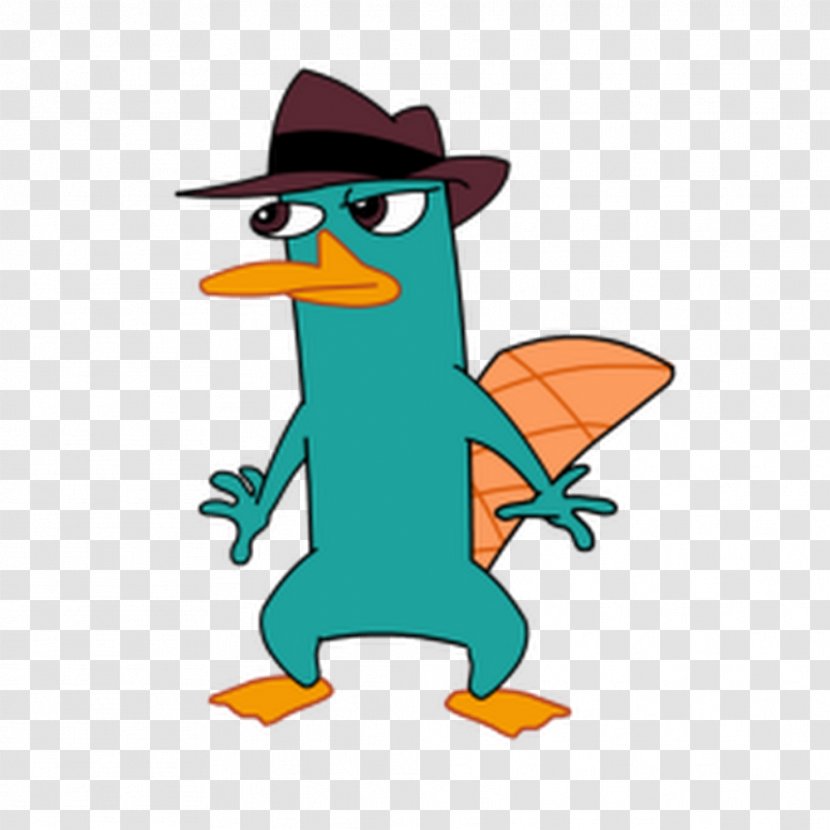 Perry The Platypus Phineas Flynn Ferb Fletcher - Male - Fauna Transparent PNG