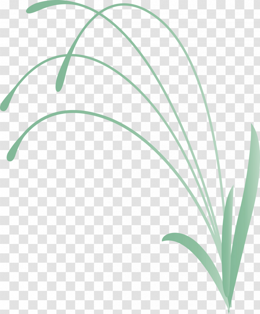 Flower Frame Decoration Frame Transparent PNG