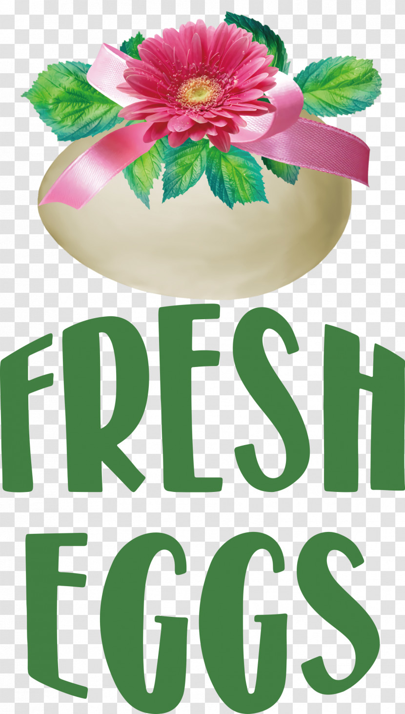 Fresh Eggs Transparent PNG