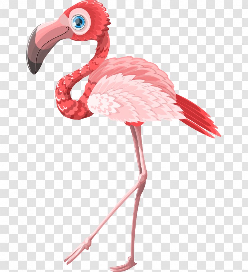 Flamingo Cartoon Postcard Pink Greeting Card - Beak - Hand-painted Animal Standing Transparent PNG