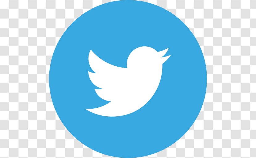 Button Social Media - Bird Transparent PNG