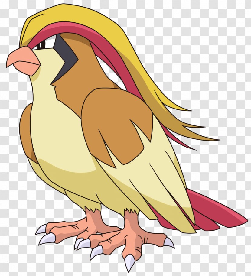 Pokémon Omega Ruby And Alpha Sapphire Pidgeotto Cycle 1 De - Chicken - Pidgeot Transparent PNG