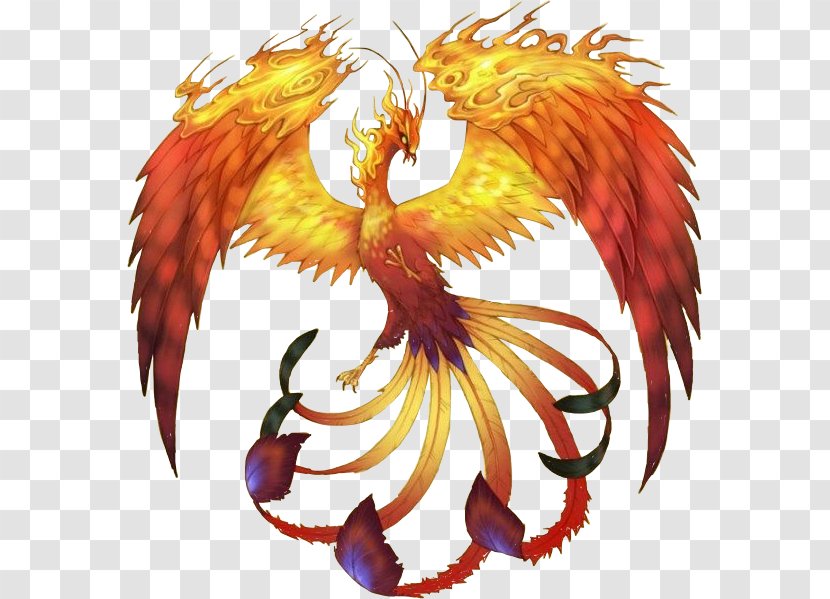 Phoenix Legendary Creature Firebird Folklore - Art - Fire Drawing Fictional Character Transparent PNG