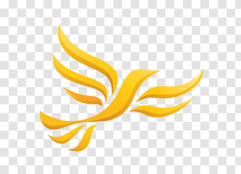 Wales Welsh Liberal Democrats Liberalism Maidstone And The Weald Transparent PNG