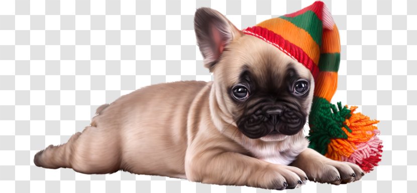 French Bulldog Toy Puppy Dog Breed Transparent PNG