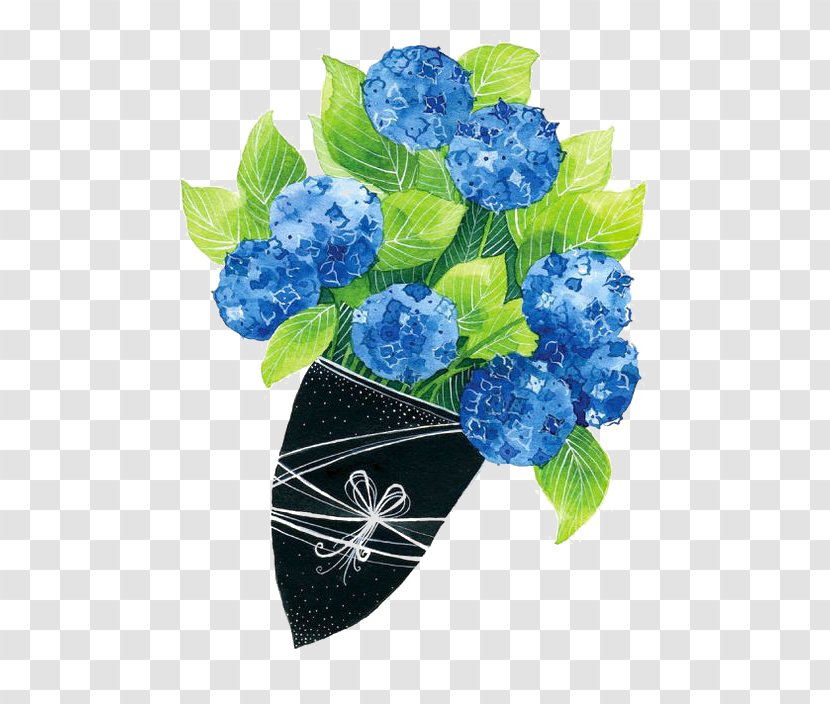 French Hydrangea Flower Illustration - Plant - Bouquet Of Flowers Transparent PNG