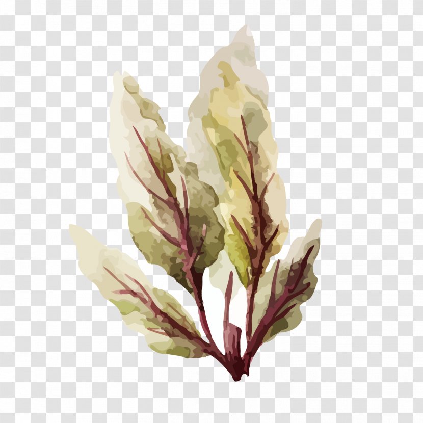 Vegetable Watercolor Painting Food Illustration - Vector Hand-painted Leaves Transparent PNG