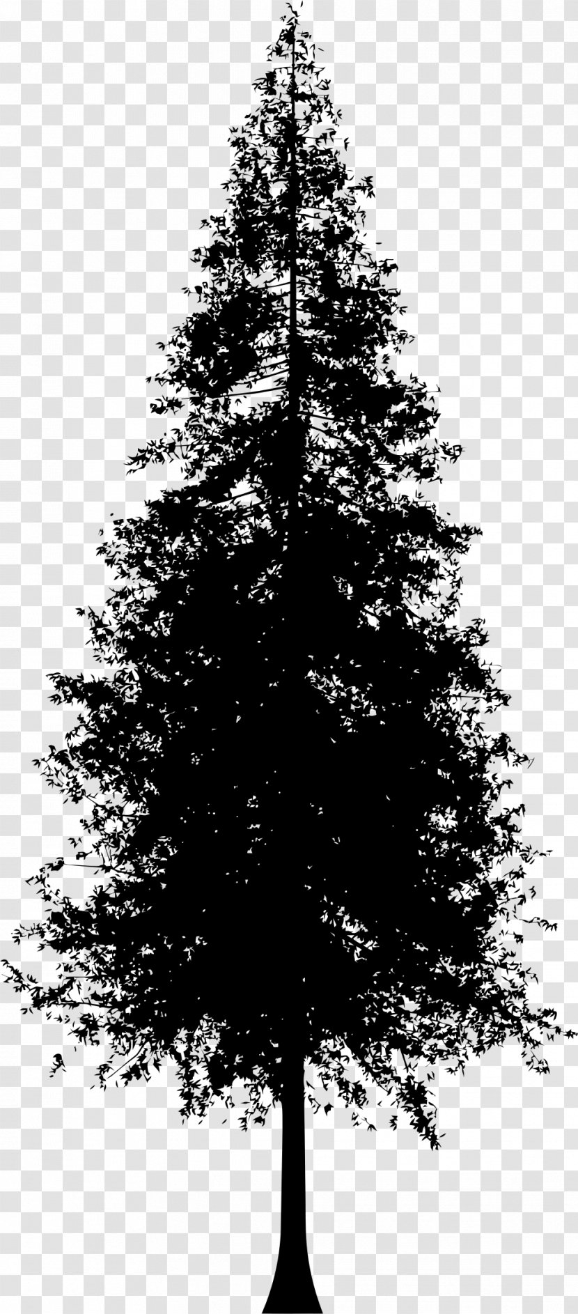 Redwoods Silhouette Coast Redwood Clip Art - Black And White - Pine Tree Transparent PNG