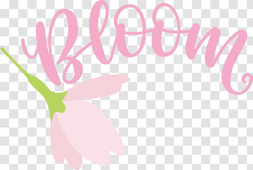 Bloom Spring Flower Transparent PNG