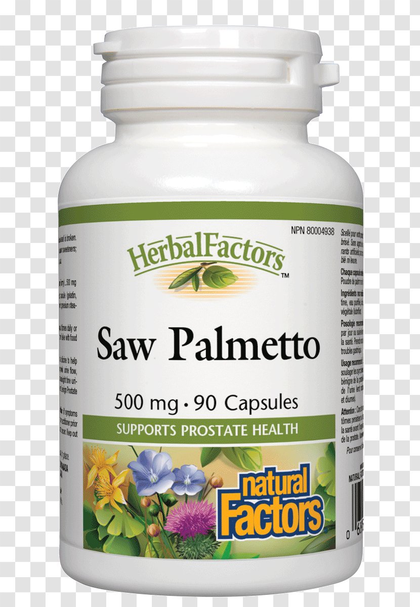 Ginkgo Biloba Capsule Phytosome Vegetarian Cuisine Herb - Vitamin - Saw Palmetto Transparent PNG