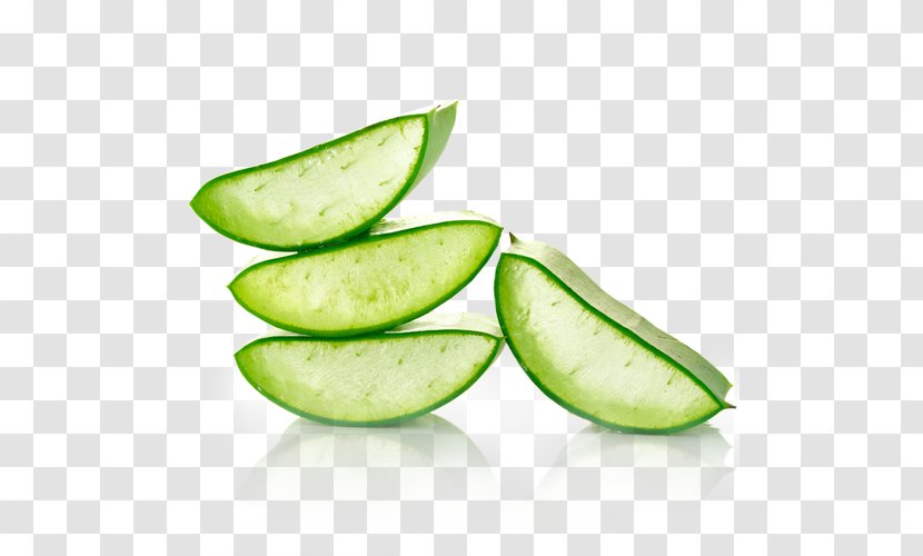 Aloe Vera Gel Health Skin Healing - Cucumber Gourd And Melon Family Transparent PNG