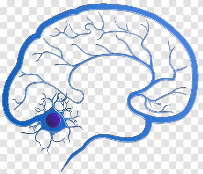 Central California Neurology: Dale Helman, MD Neurological Disorder Borina Dramov, M.D. - Frame - Neurons Transparent PNG