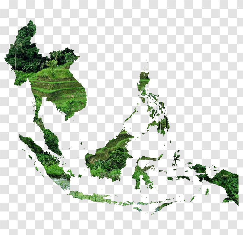Association Of Southeast Asian Nations United States World Map - Image Transparent PNG