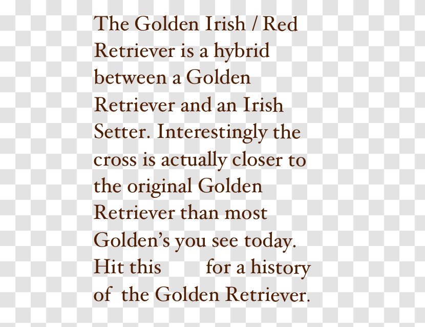 Golden Retriever Irish Setter Puppy - Someone Like You Transparent PNG