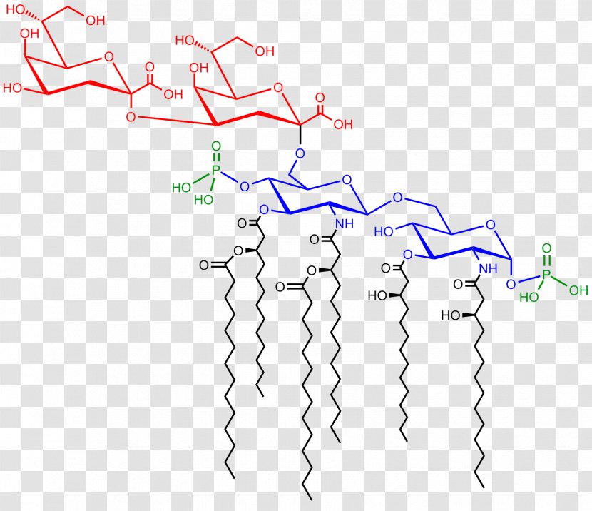Saccharolipid Endotoxin Cerebroside Lipid A Transparent PNG