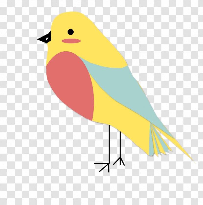 Bird Download Animal - Finch Transparent PNG