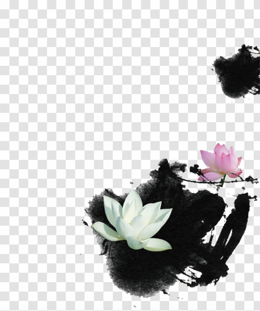 U756bu8377u82b1 Pipa Ink Wash Painting - Flower - Lotus Transparent PNG