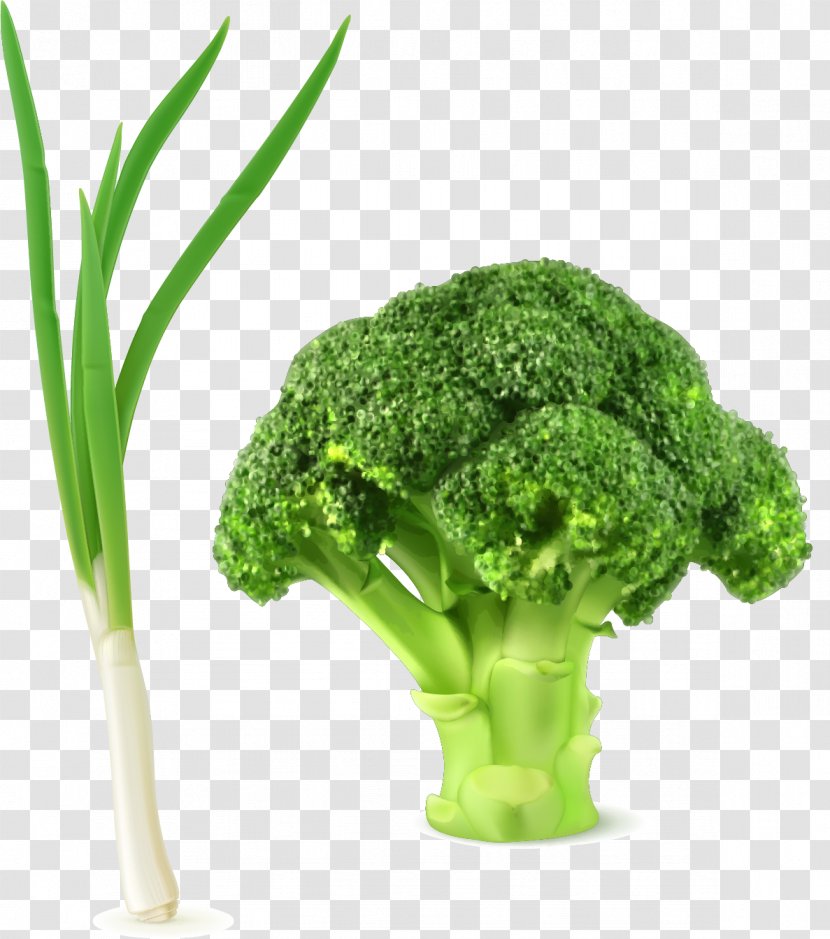 Broccoli Slaw Vegetable Clip Art - Tree - Green Onions Cauliflower Vector Elements Transparent PNG