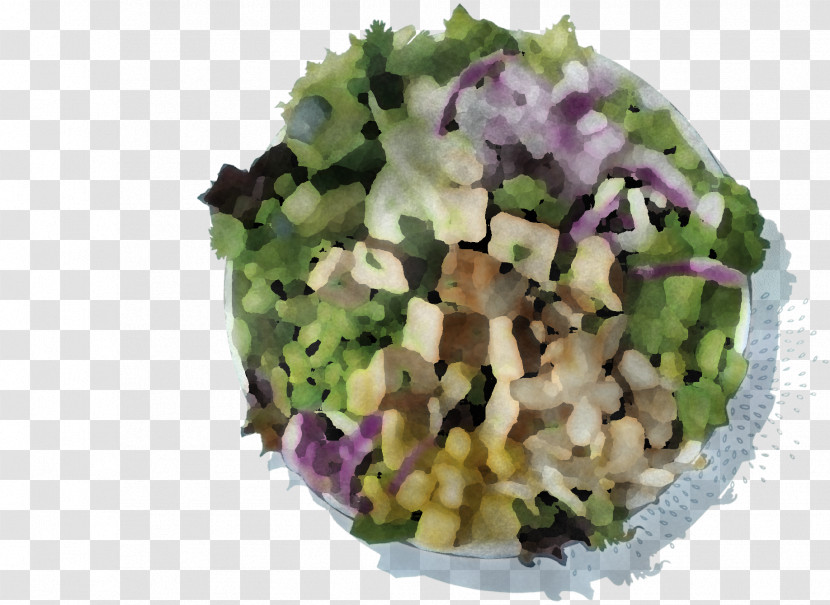 Salad Transparent PNG