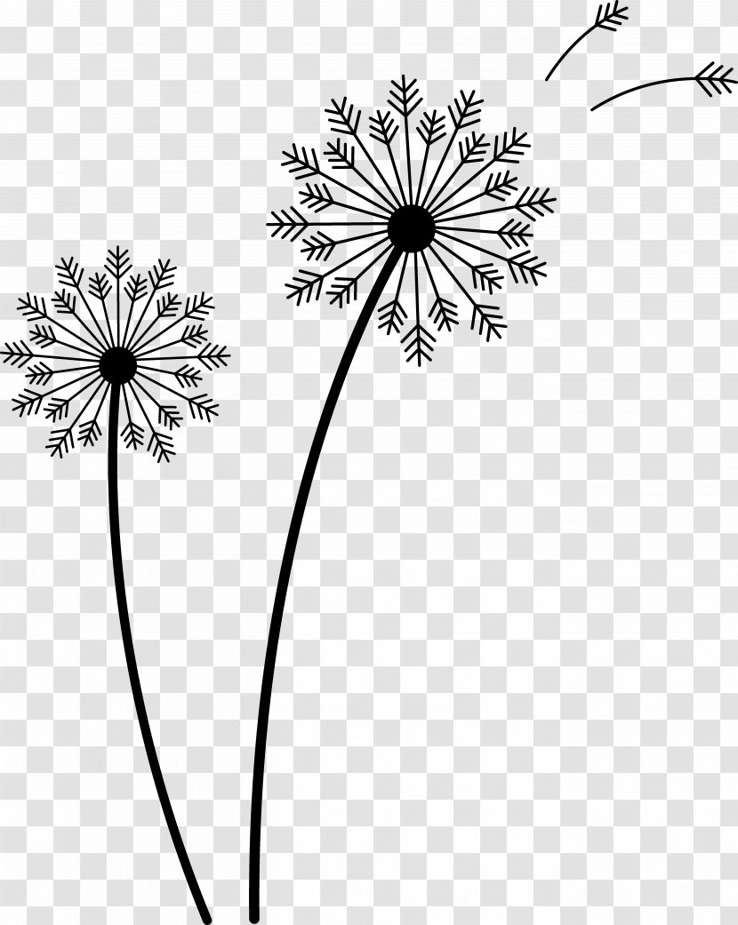 Common Dandelion Drawing Seed Clip Art - Rectangle - Flower Weeds Cliparts Transparent PNG