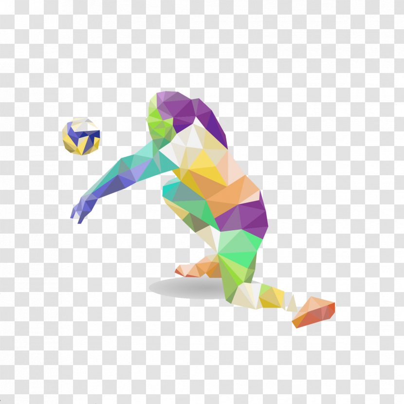 Volleyball Sport Athlete Basketball - Judo Transparent PNG