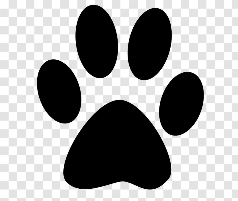 Cat Paw Dog Kitten Puppy - Veterinarian Transparent PNG