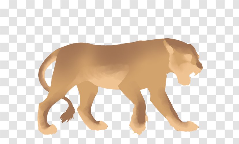 Felidae Lion Cat Cougar Mammal - Dance Transparent PNG
