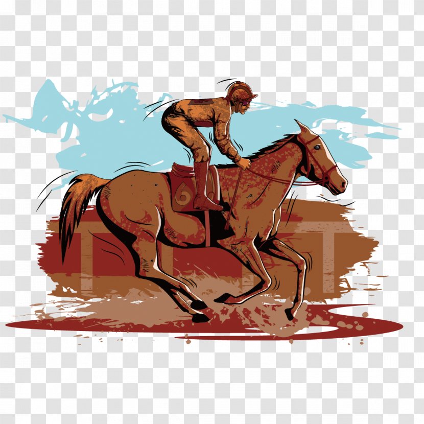 Download Clip Art - Equestrianism - Rider Transparent PNG