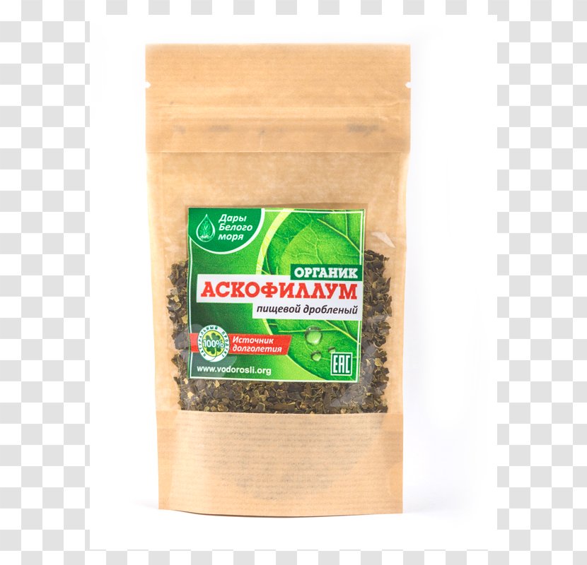 Ascophyllum Nodosum Bladder Wrack Algae Flavor Food Industry - Pharmaceutical Drug Transparent PNG