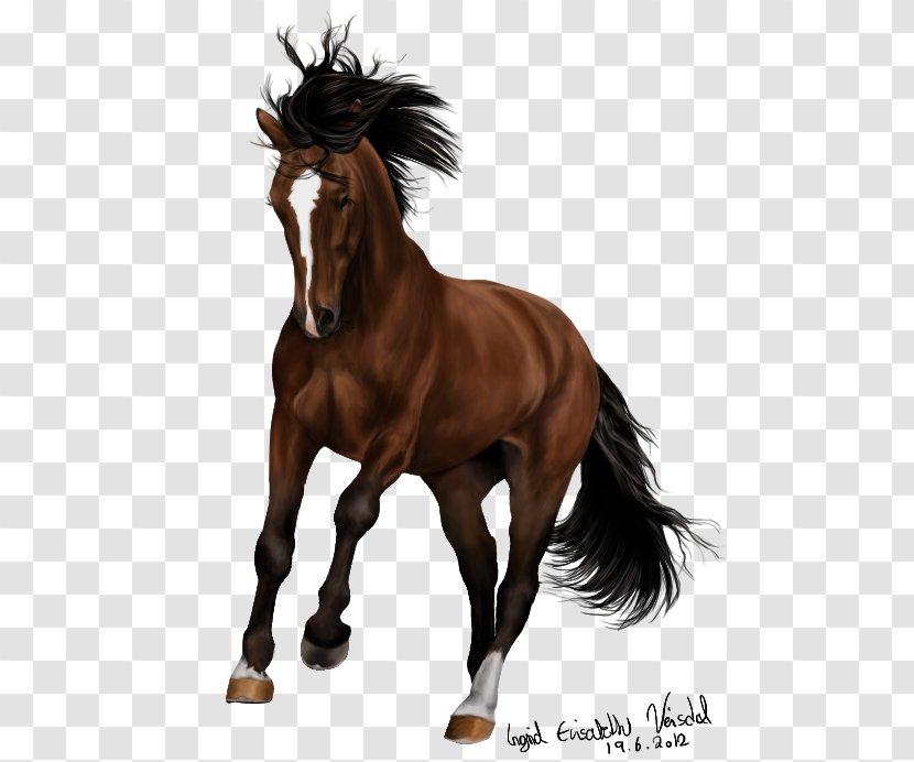Mane Mare Pony Mustang Coldblood Trotters - Sorrel - Har Mahadev Transparent PNG
