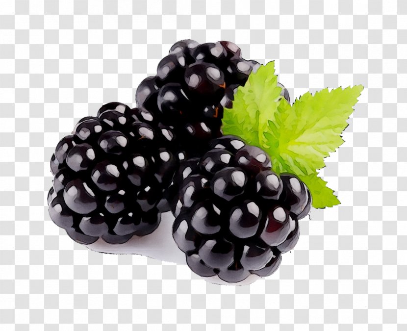 Bavarian Cream Fragrance Oil Flavor Blackberry Boysenberry - Dewberry - Berries Transparent PNG
