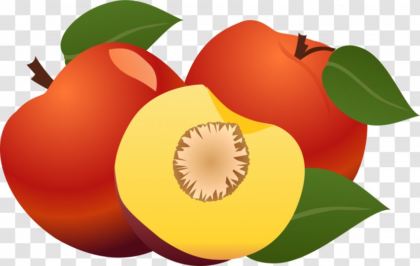 Paper Apple Computer File - Diet Food - Hand Painted Red Leaf Transparent PNG