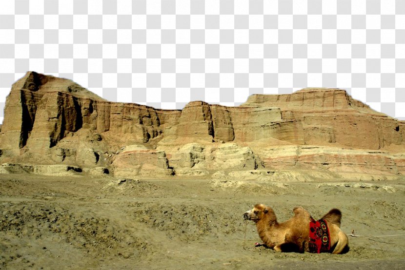 Tianshan District Altay Prefecture Ghost City China National Highway 216 Karamay - Sahara - Camels In Gobi Transparent PNG