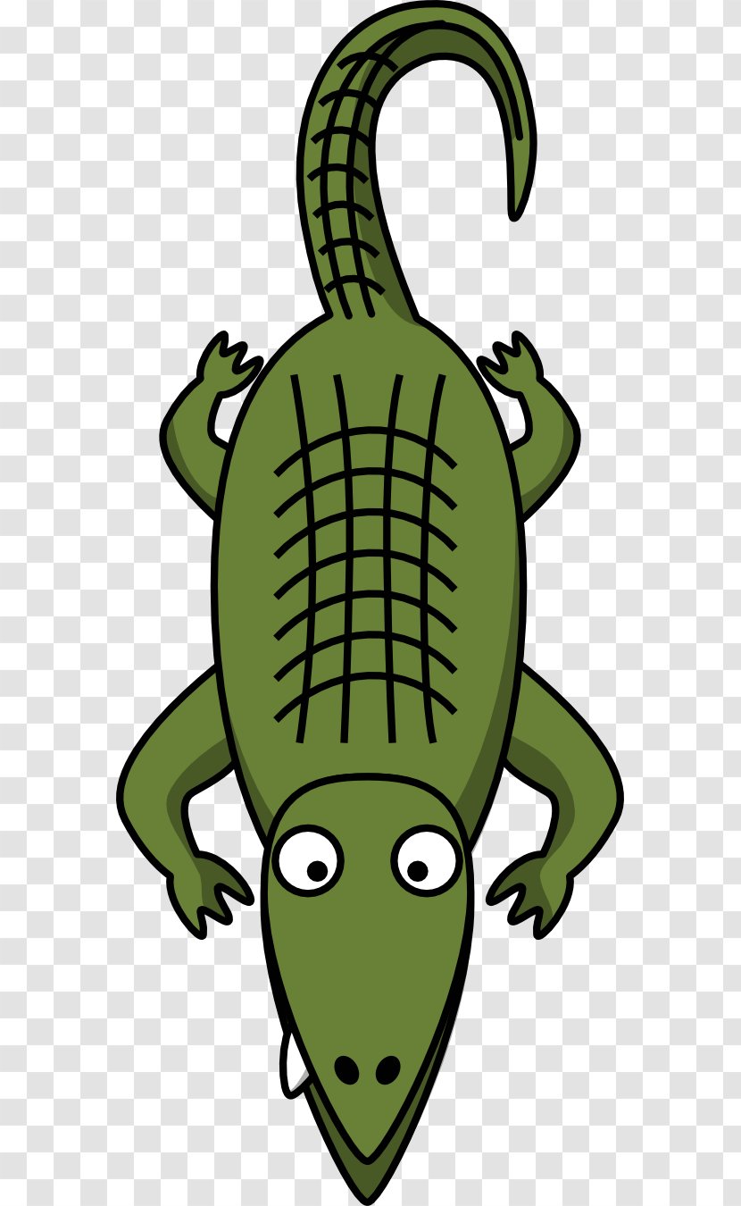 Crocodile Cartoon Clip Art - Organism - Graphics Pictures Transparent PNG