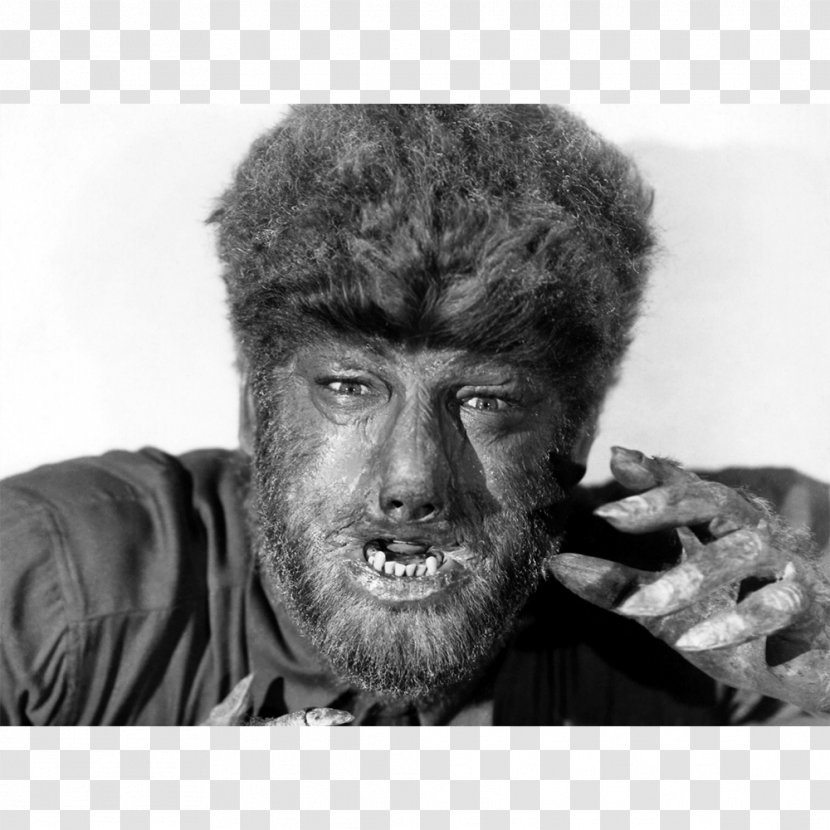 Lon Chaney Jr. The Wolf Man Universal Pictures Larry Talbot Werewolf - Head - Mid Autumn Ceremony Transparent PNG