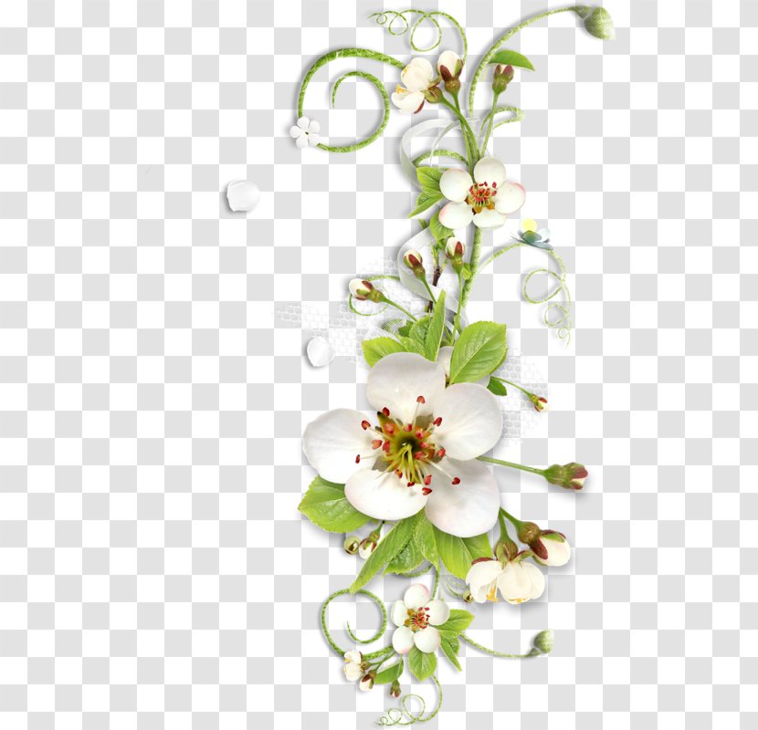 Flower Software Clip Art - Branch - Floral Pattern Transparent PNG