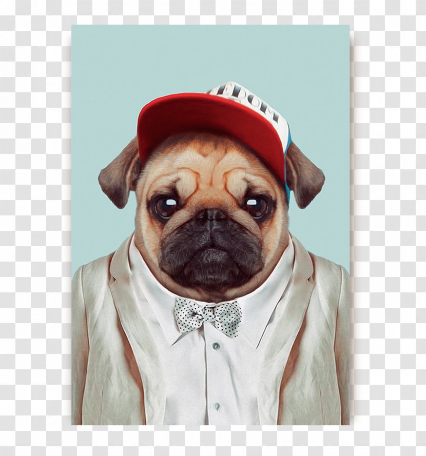 Airedale Terrier Zoo Portraits 2018: SLIM NOTES Pug Clothing Bear - Portrait - Wes Anderson Transparent PNG