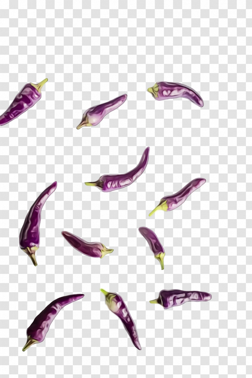 Purple Transparent PNG