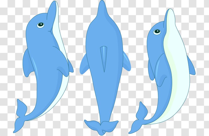 Dolphin Cartoon Clip Art - Whales Dolphins And Porpoises - Cute Little Is Jumping Transparent PNG