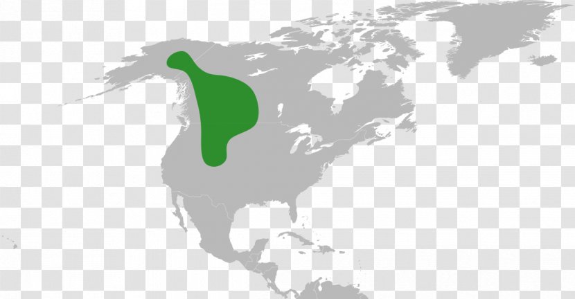 United States Map - Horse Like Mammal Transparent PNG