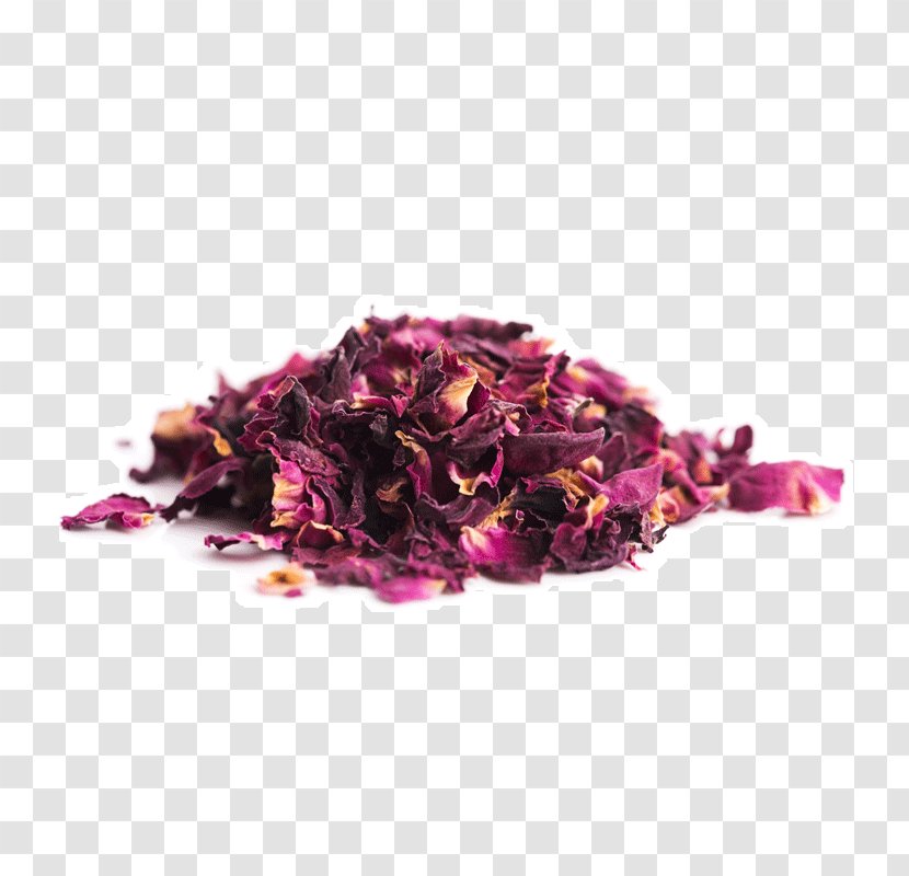 Petal Rose Stock Photography Flower - Earl Grey Tea - Petals Transparent PNG