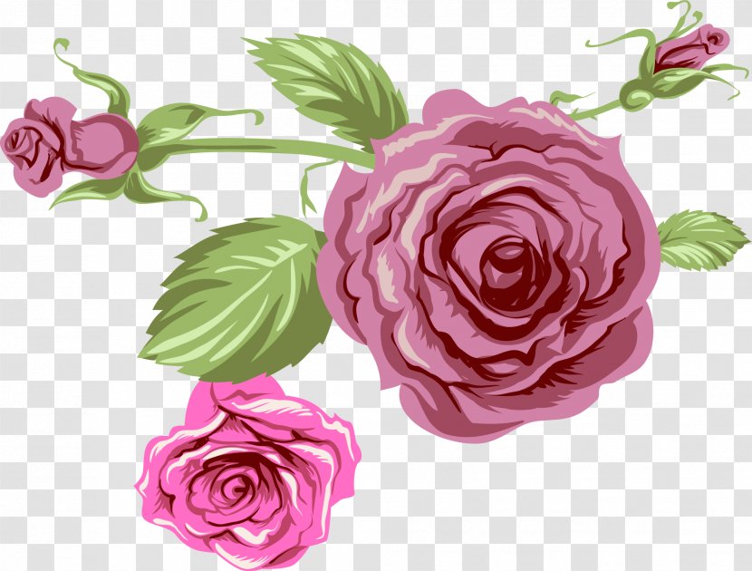 Garden Roses Purple - Dream Flowers Transparent PNG