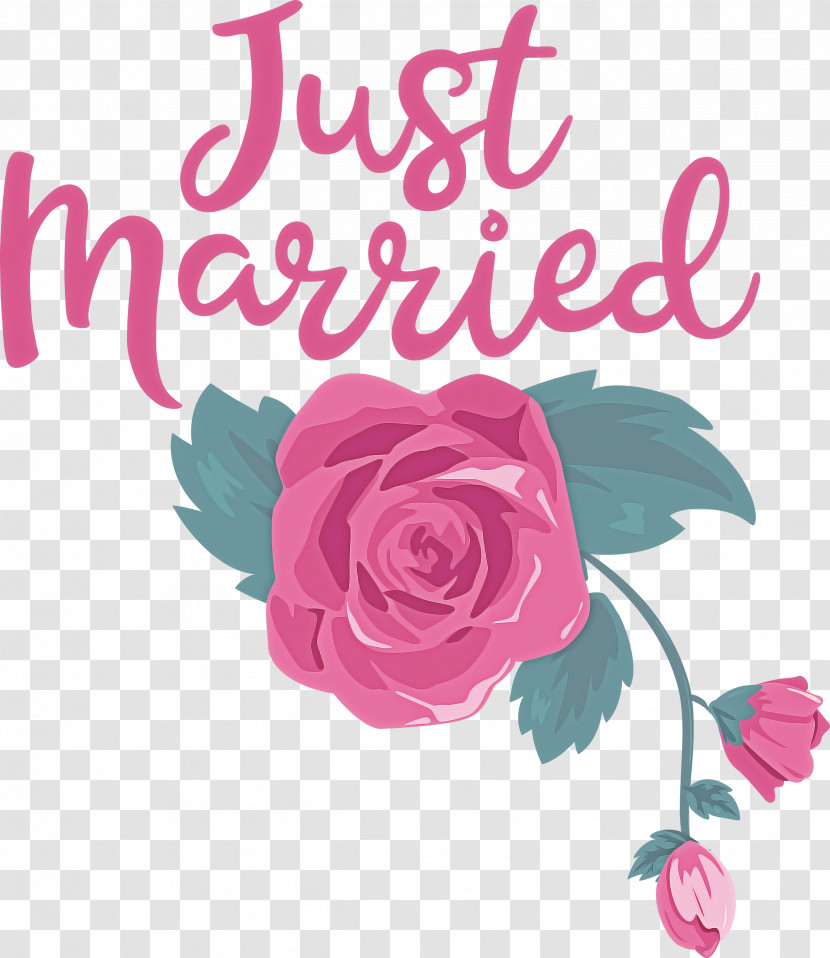 Just Married Wedding Transparent PNG