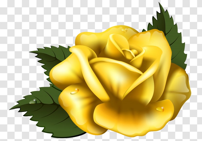Yellow Rose Clip Art - Shrub - Clipart Transparent PNG