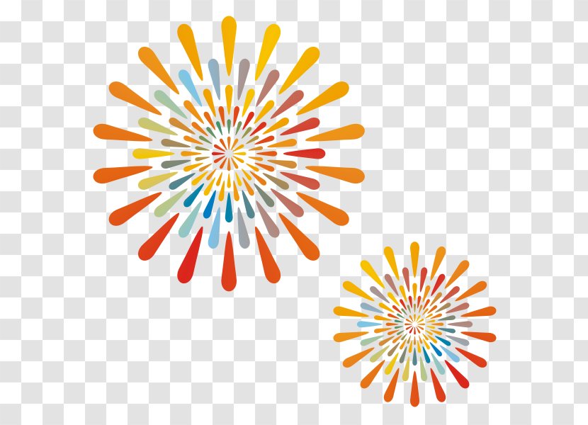 Sunshine Academy Early Education Center Pre-school Child RENAC - Fireworks Transparent PNG