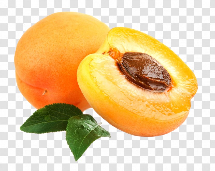 Cancer Apricot Kernel Amygdalin Cure - Therapy Transparent PNG