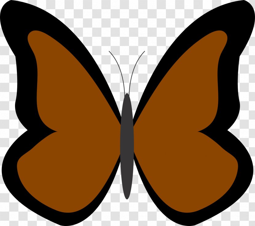 Butterfly Green Color Clip Art - Cartoon - Brown Cliparts Transparent PNG