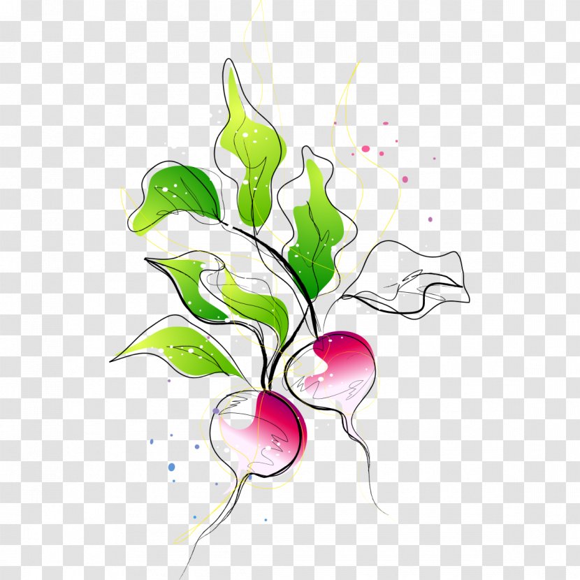 Carrot Vegetable Radish - Branch - Hand-painted Transparent PNG